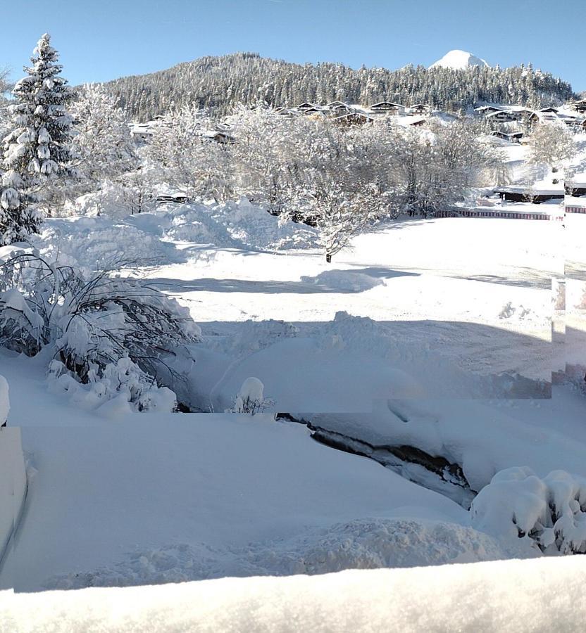 Antoni Apartements Seefeld in Tirol Bagian luar foto